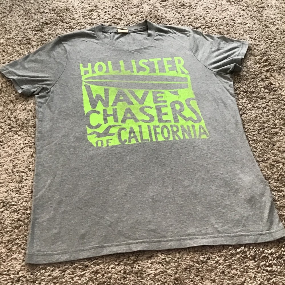 Vintage Hollister T Shirt XL Gray Green Wave Chasers Y2K
